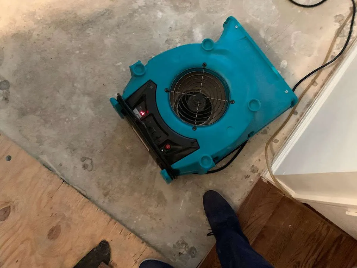 Air mover drying subfloor during Commercial Water Damage Restoration in Maple Valley